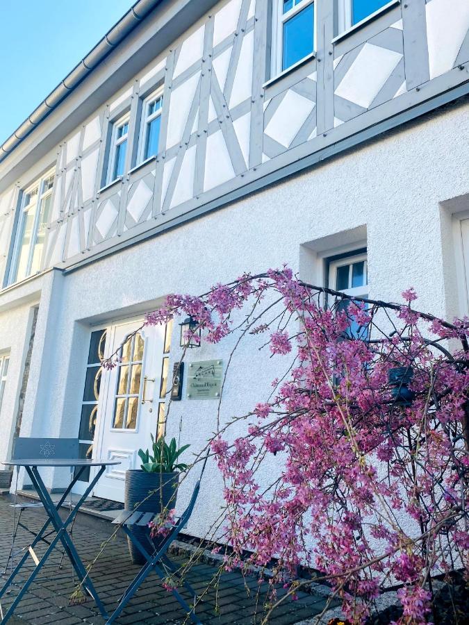 Apartments Im Chateau D'Esprit Höhr-Grenzhausen Zewnętrze zdjęcie