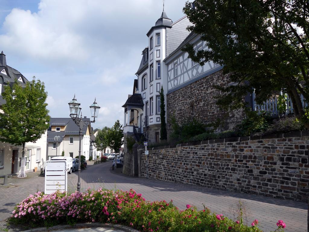 Apartments Im Chateau D'Esprit Höhr-Grenzhausen Zewnętrze zdjęcie